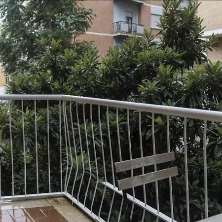 Erika S. Peter Walking Distance * Rome